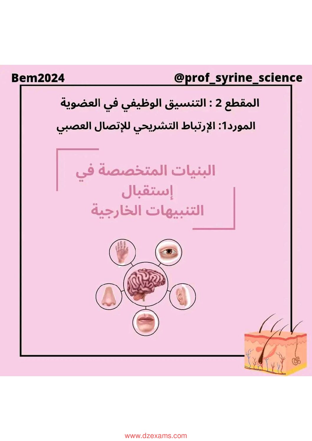 ملخص درس التنسيق الوظيفي في العضوية في مادة العلوم للاستاذة سيرين 4 متوسط