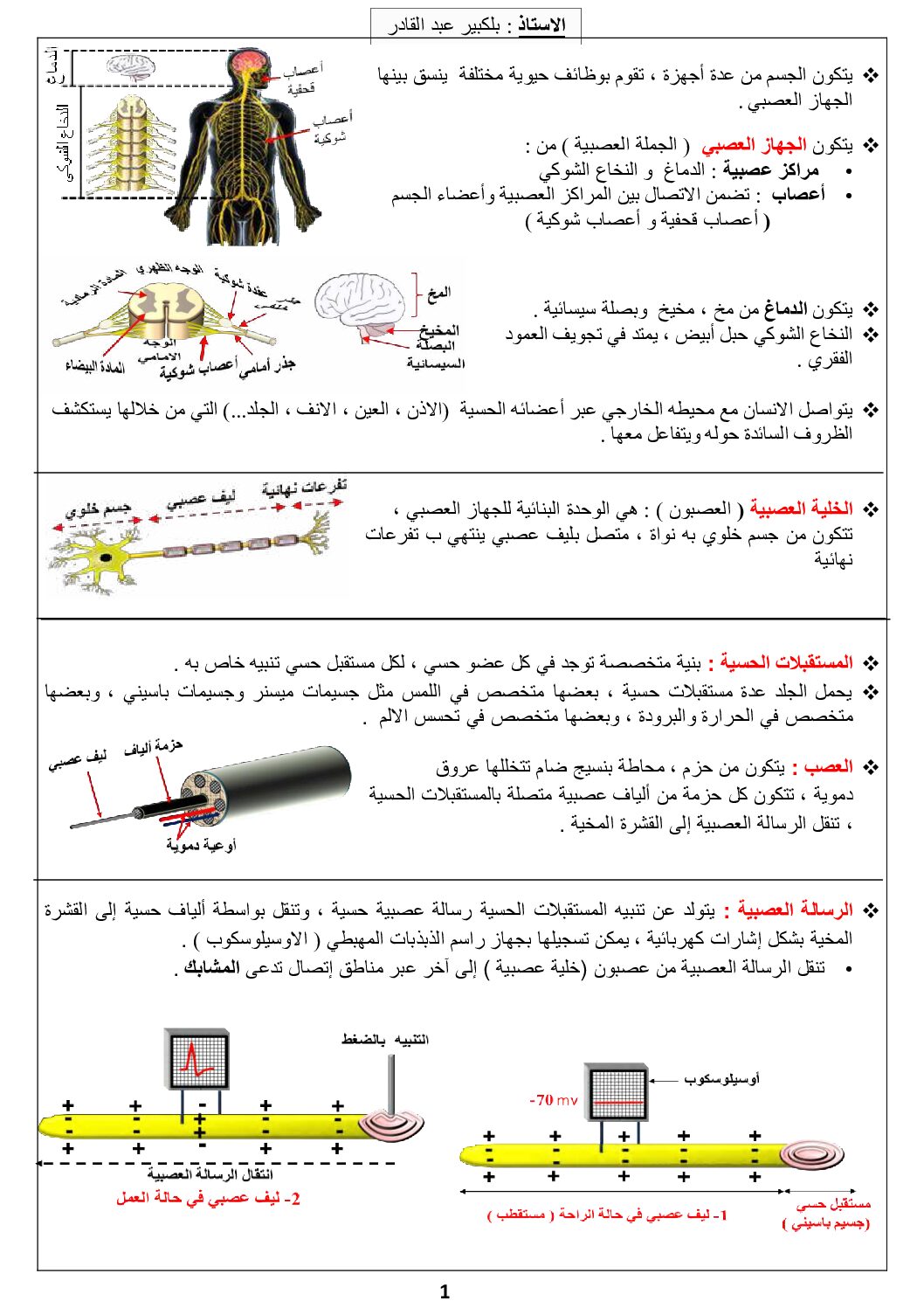 ملخص مقطع الاتصال العصبي مع رسومات توضيحية للاستاذ بلكبير عبد القادر 4 متوسط