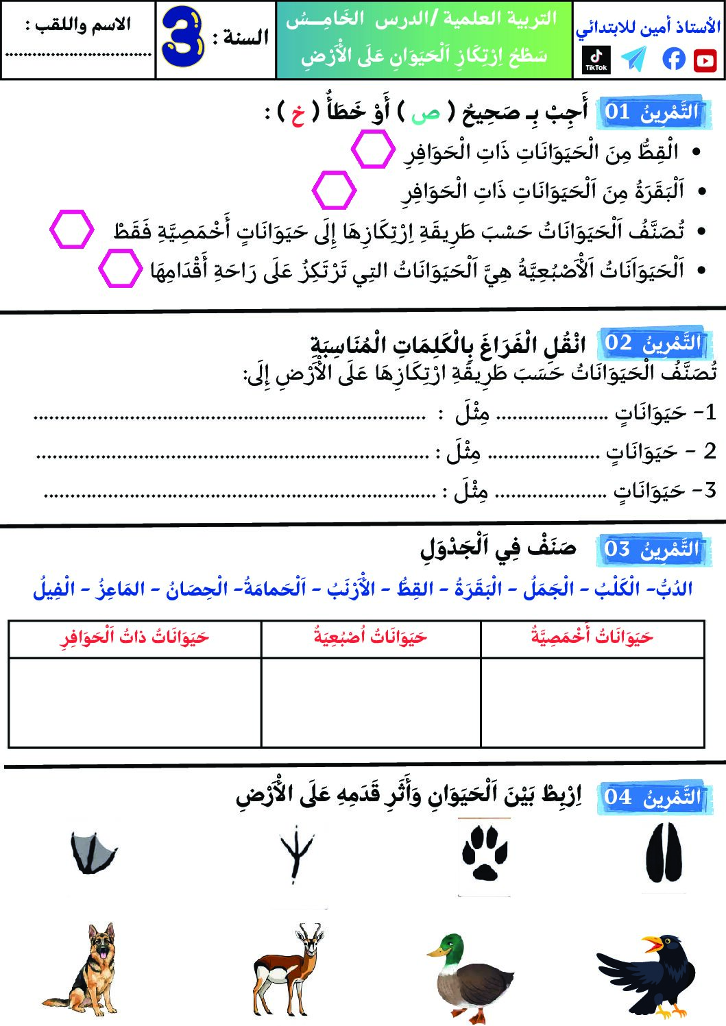إختبار الفصل الأول في التربية العلمية السنة الثالثة ابتدائي رقم 78