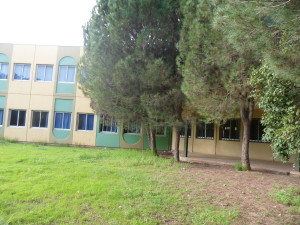 كلية الطب الجزائر 2